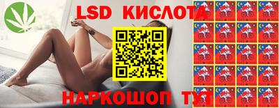 спайс Кулебаки